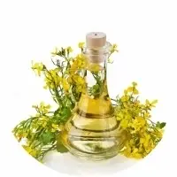 Refined Soybean Oil