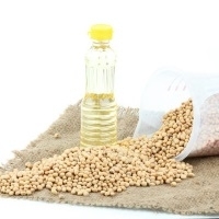 Soybean Oil