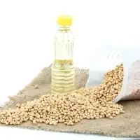 Soybean Oil