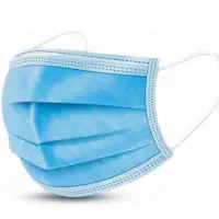 Face Mask With Nose Pin