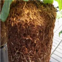 Coco Peat Grow Bag