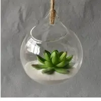 Borosil Hanging Ball