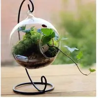 Borosil Hanging Ball