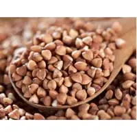 Buckwheat