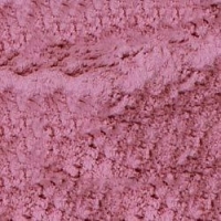 Red Onion Powder (Dehydrated)