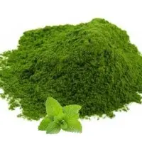 Organics Mint Powder (Dehydrated)
