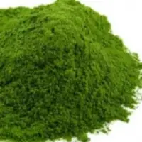 Organic Coriander Leaves Powder (Dehydrated)