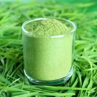Organic Wheat Grass Powder