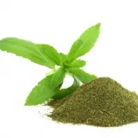 Organic Stevia Leaves Powder
