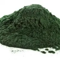 Organic Spirulina Powder