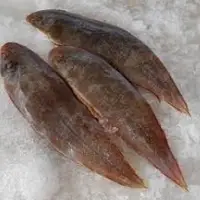 Korean Gold Tongue Sole