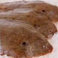 Korean Tasty Gold Tongue Sole