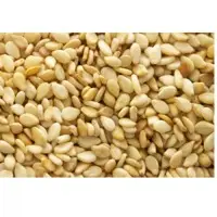 Natural Yellow Sesame Seeds