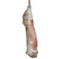 Fresh anatomical cuts