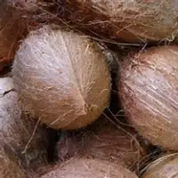 Semi Husked Coconut