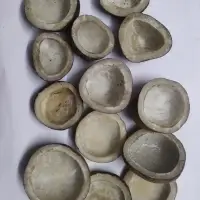 Dried Coconut Copra
