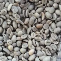 Arabica Coffee Commercial Grade