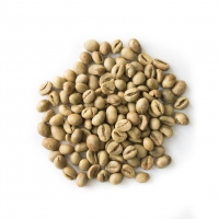 High Grade Fine Robusta Screen Size 19/20