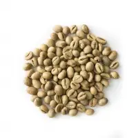 High Grade Fine Robusta Screen Size 19/20