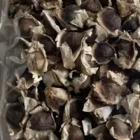 Moringa Seeds