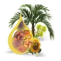 Palm oil