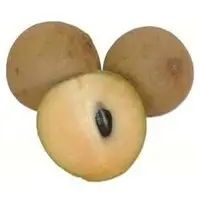 Sapota