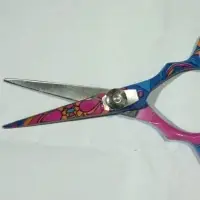 Hair Cut Barber Scissors