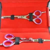 6.5 inch Scissors