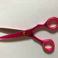 Salon Shear Scissors