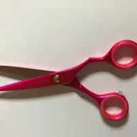 Salon Shear Scissors