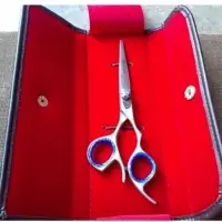 Professional Scissors