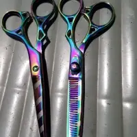Barber Scissors Set