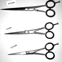 Dressing Scissors
