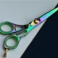 Hair Scissors