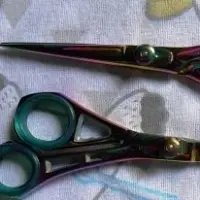 Salon Hair Shear Scissors
