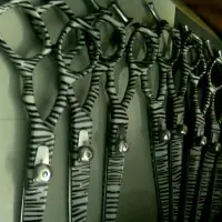 Zebra Stripped Shear Scissors