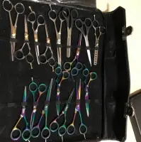 Professional Scissors Kit