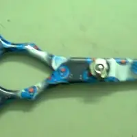 Barber Haircut Pair Scissors