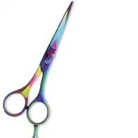 Scissors