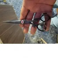 Dragon Scissors Shears