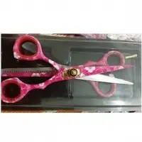 Economic Hair Scissors