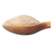 Dehydrated White Onion Granules