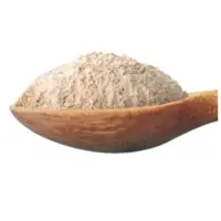 Dehydrated White Onion Powder