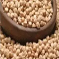 Kabuli Chick Peas