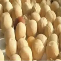 Yellow Peas