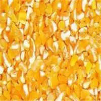 Corn Grit