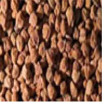 Desi Chana