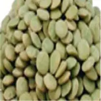 Green Lentils