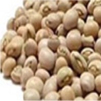 Pigeon Peas