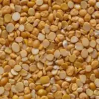 Pulses